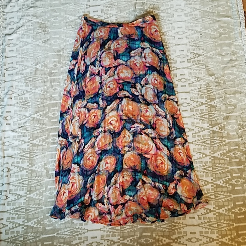 Sheer Skirt